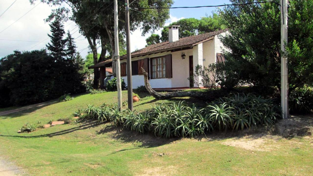 Jacarandá - Bed and Breakfast La Paloma