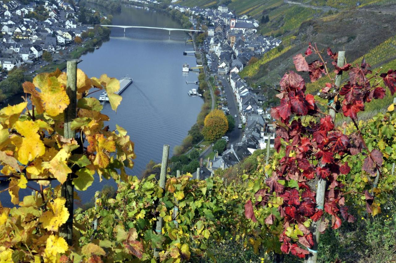 Haus Brandenburg an der Mosel - B&B