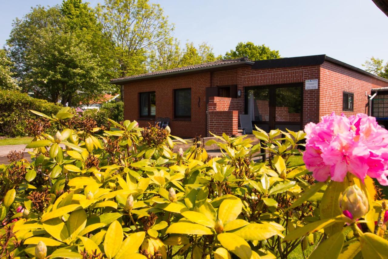 Baltrumweg 1 - B&B