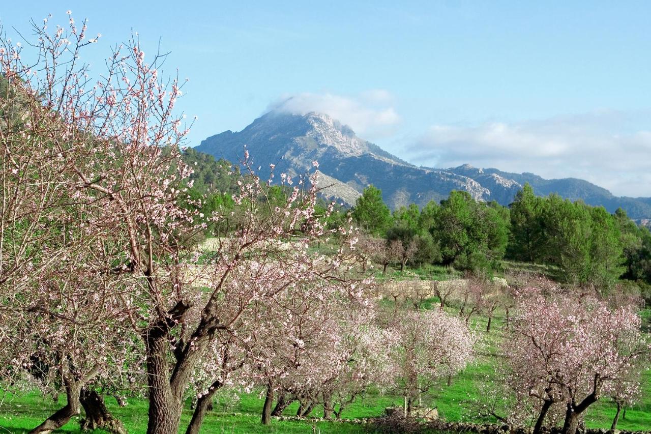 Selva 1688-93 Mallorca - B&B Selva