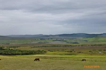 Ardenlee Self Catering Apartment - Ferienwohnung Borve