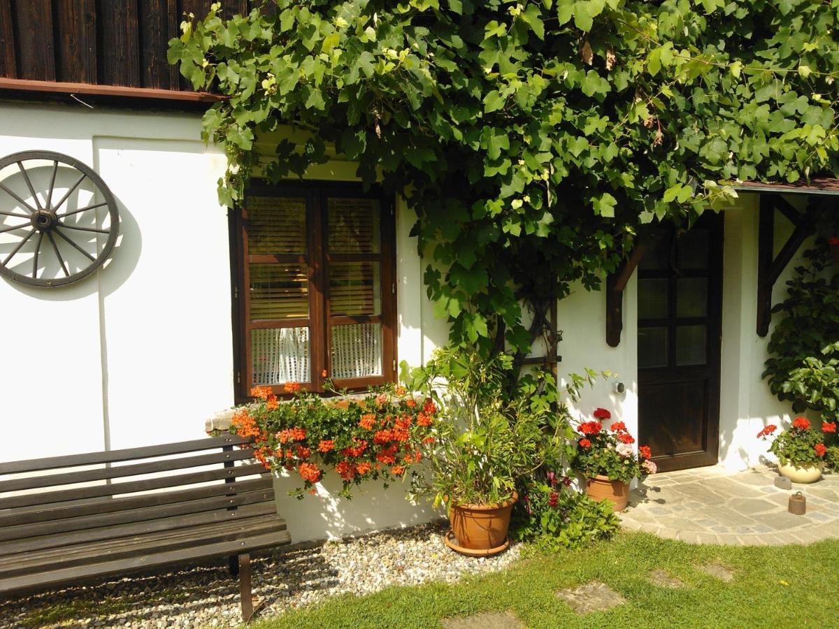 Appartement (5 Volwassenen)