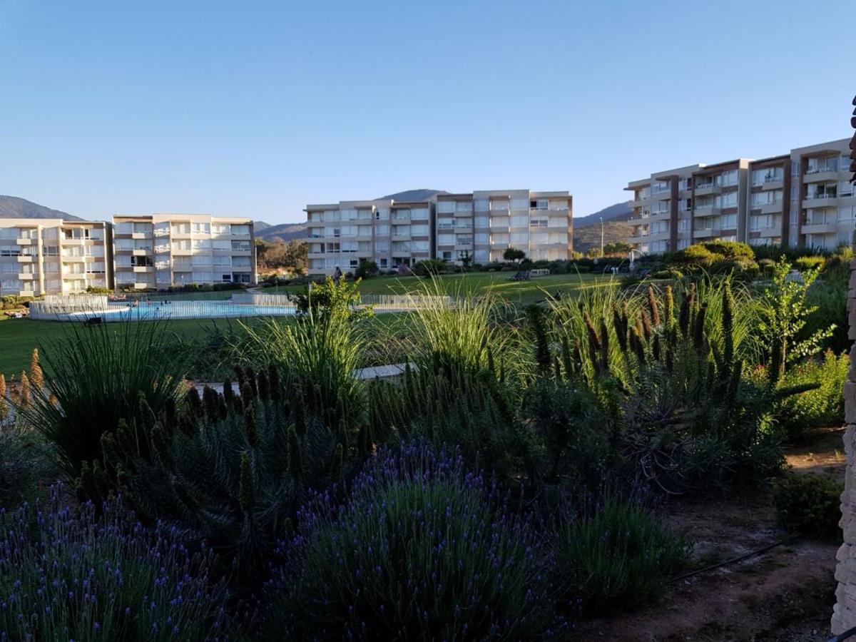 Lomas de Papudo Departamento - Chambres d’hôtes
