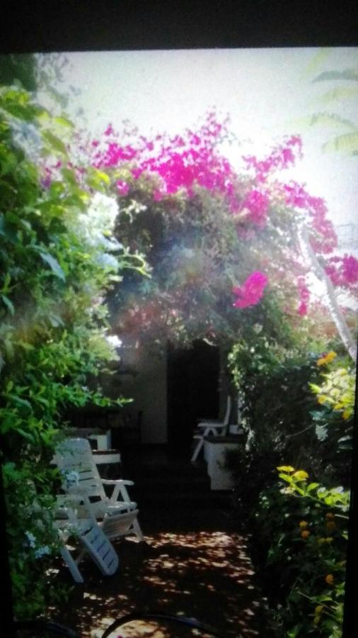 Residence Vulcano Cottage - B&B