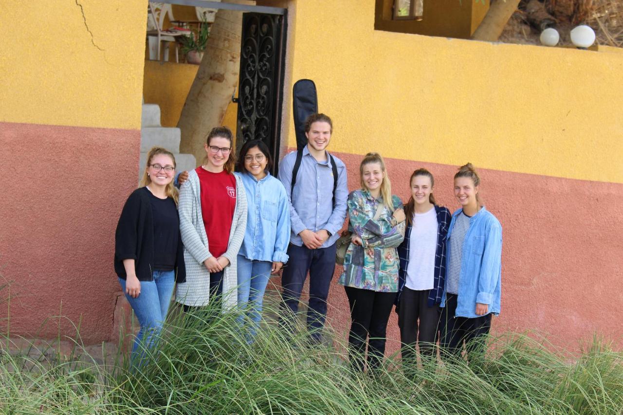 Hamo Guest House - B&B