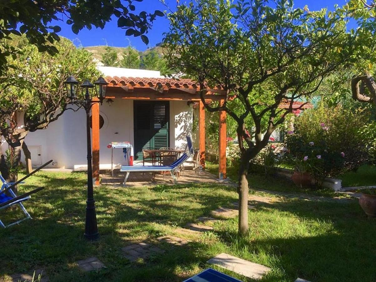 Appartement 1 Chambre (2 Adultes)