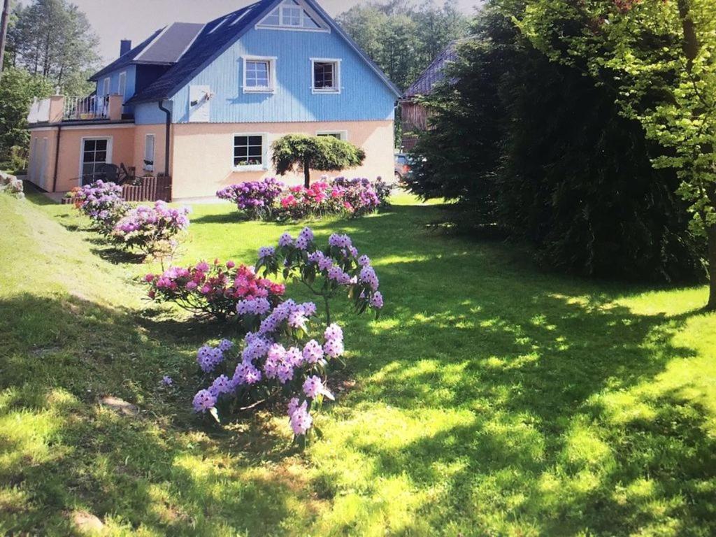 B&B Bad Brambach - Pension Schmidt - Bed and Breakfast Bad Brambach