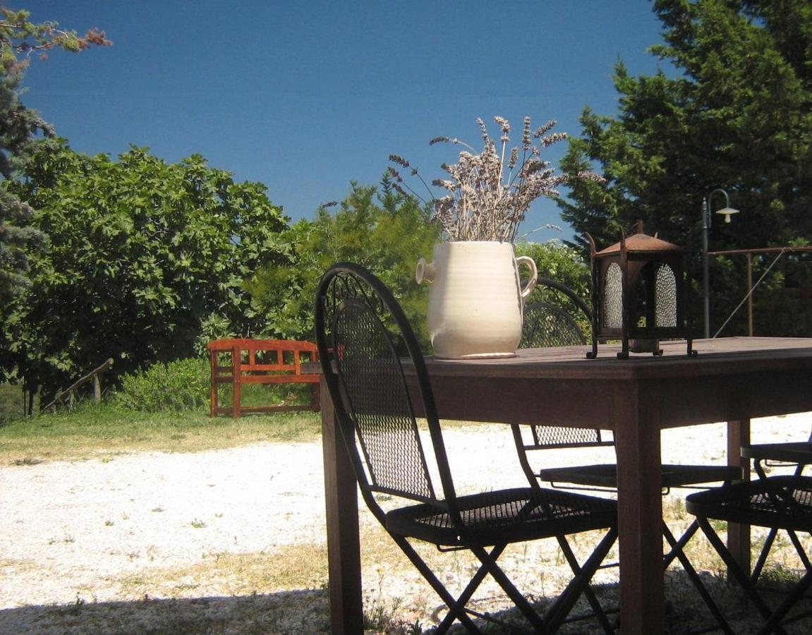 B&B San Vincenzo - Monica appartamenti - Bed and Breakfast San Vincenzo