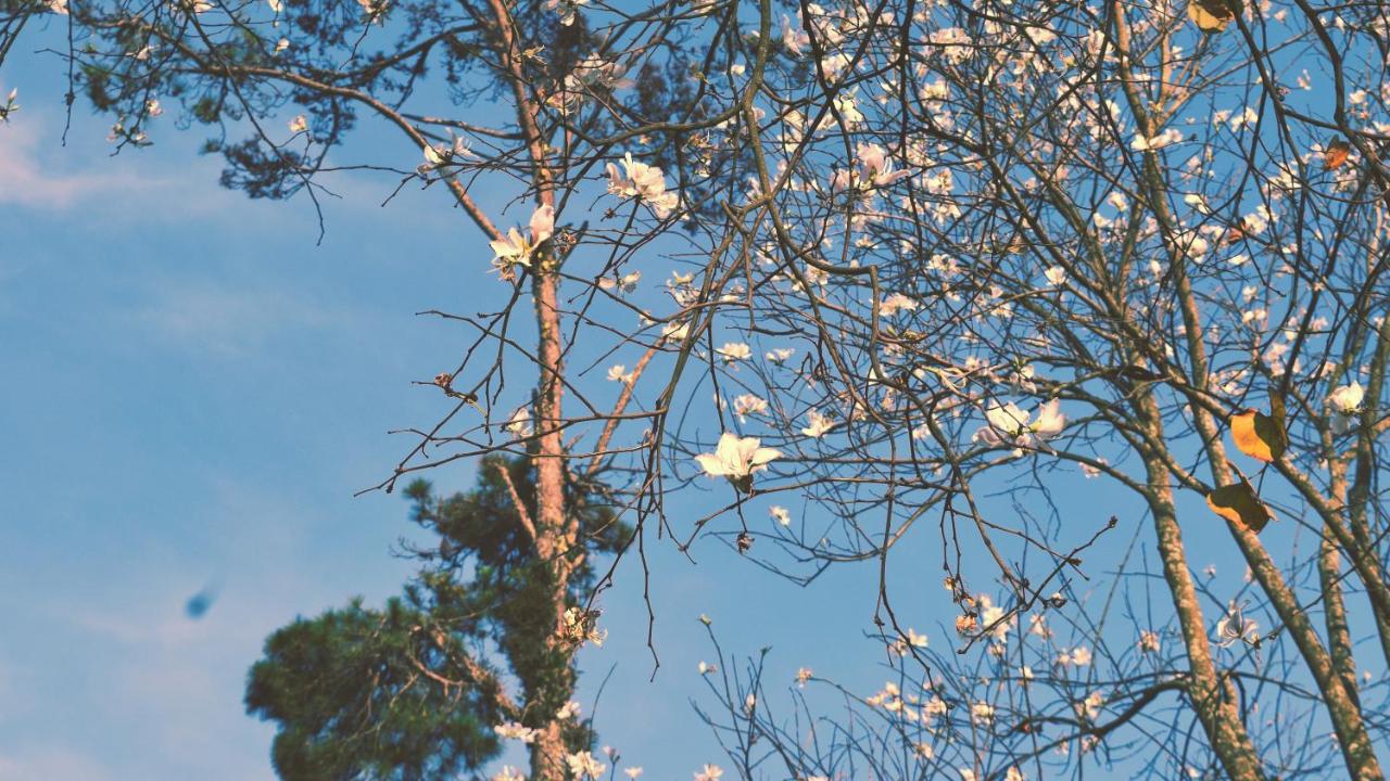 Bình An - Ferienwohnung Ðà Lạt