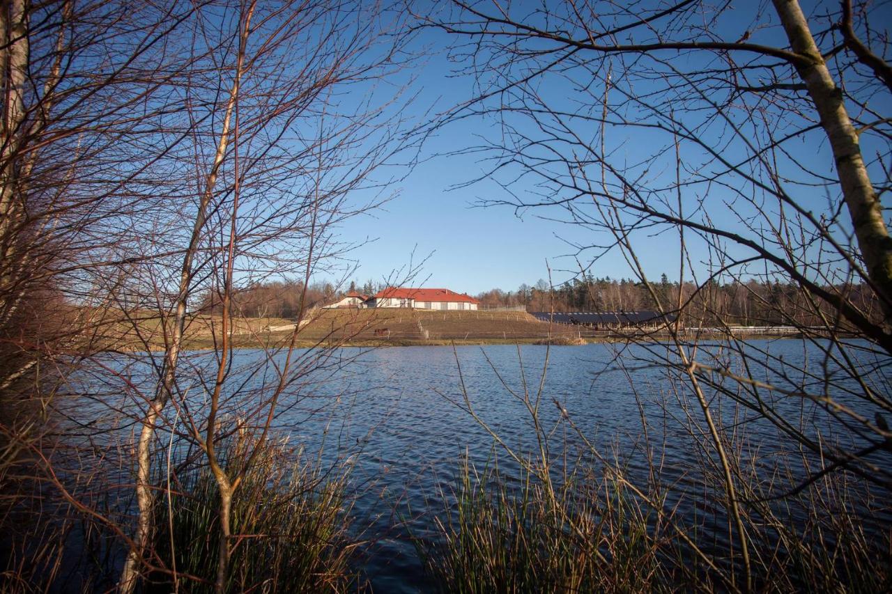 AgroBorcz - B&B