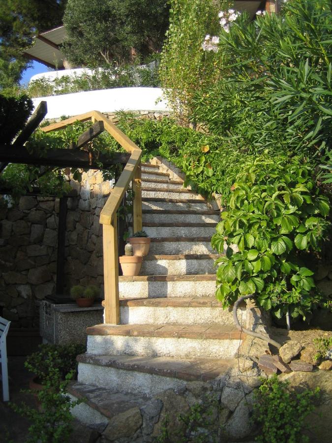 La Bouganville - B&B Giglio Porto