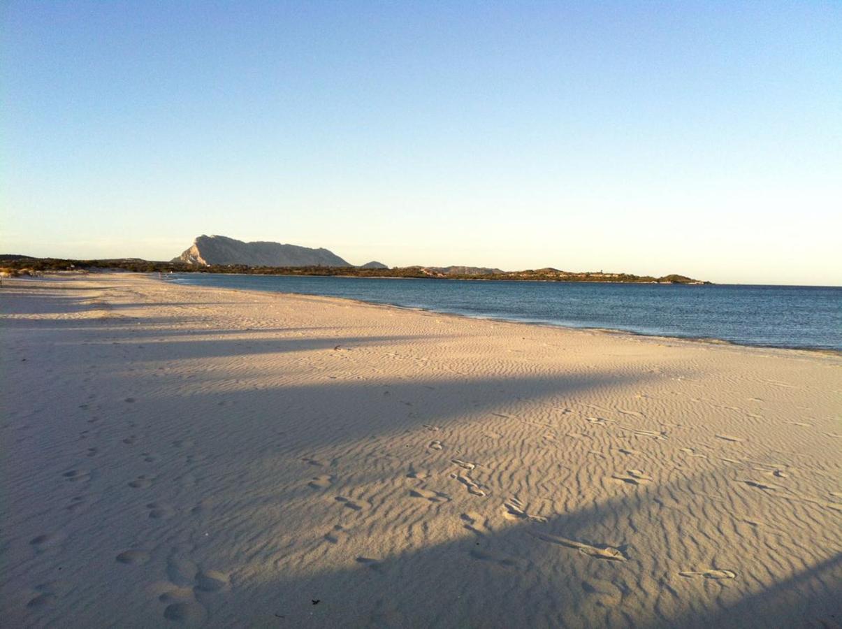 Villa antares - B&B San Teodoro