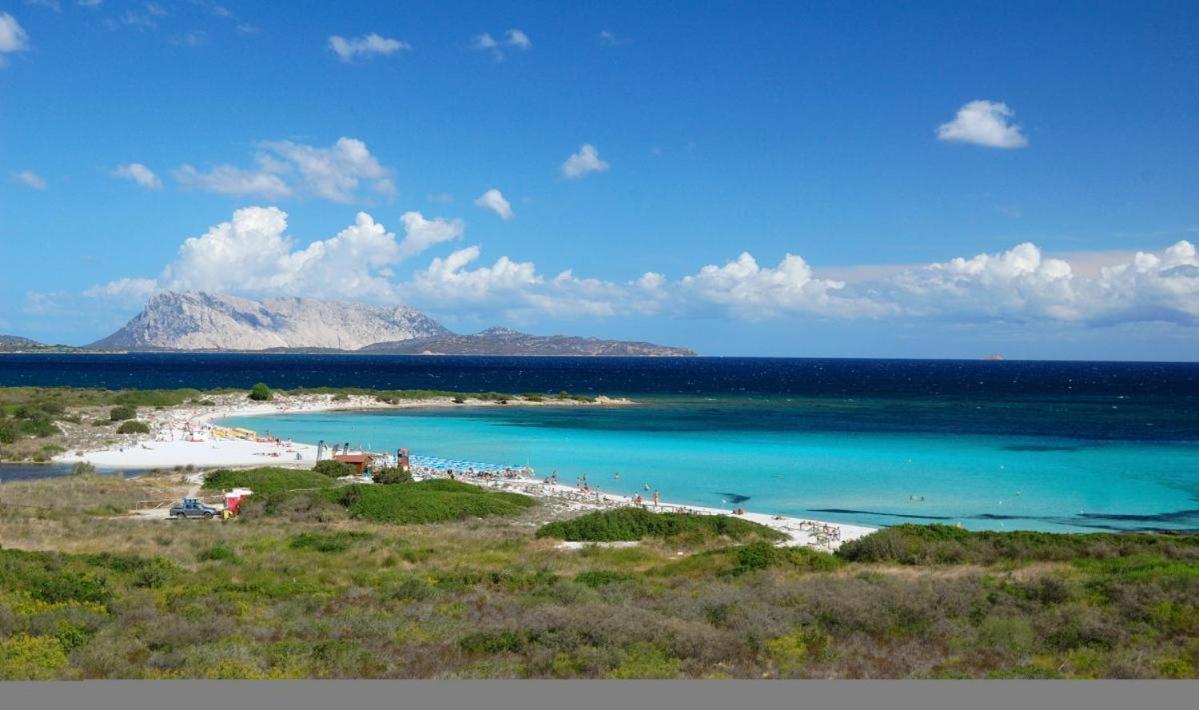 Visit San Teodoro - Ferienwohnung
