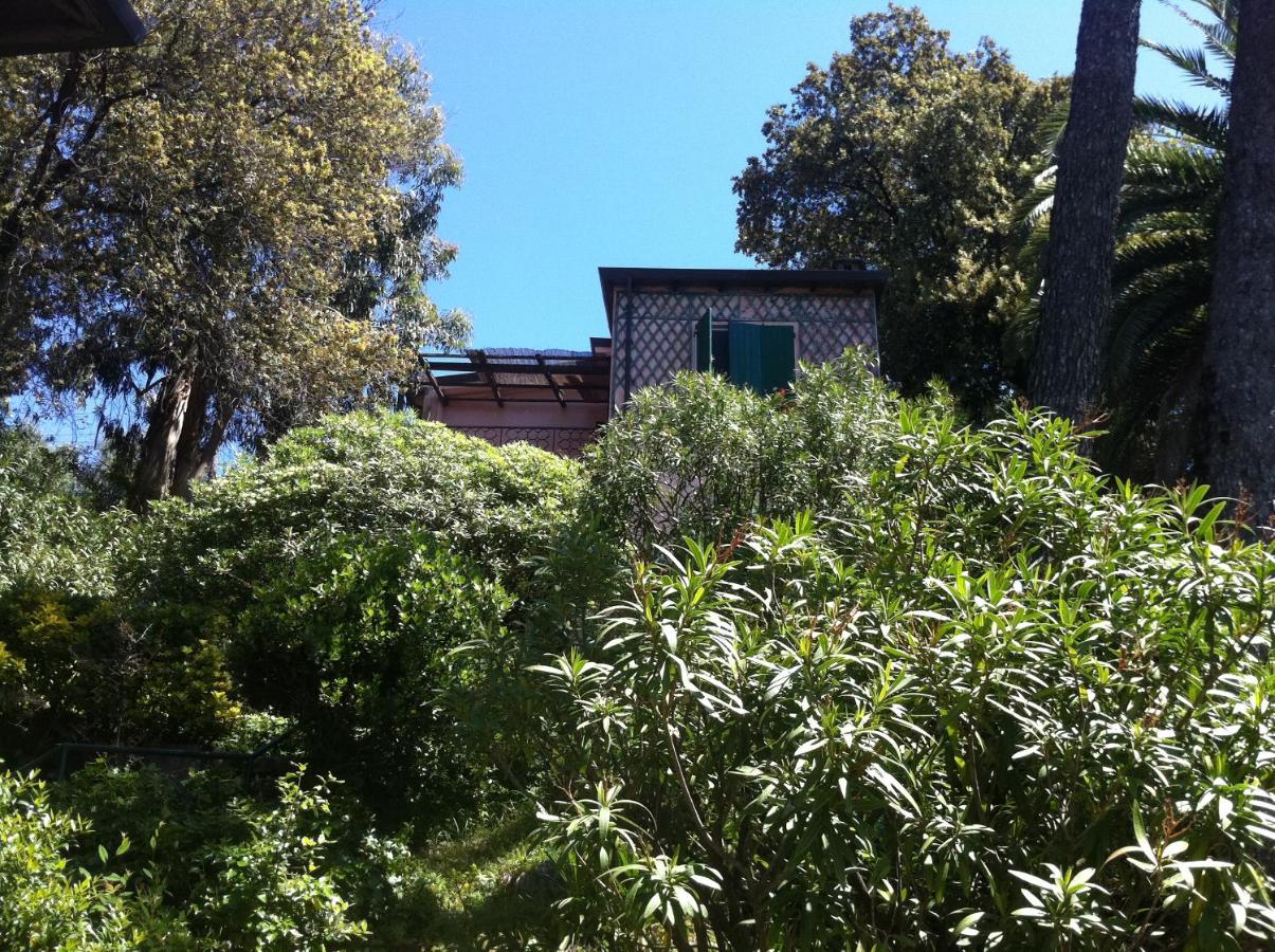 Villa Tregia - B&B Tellaro