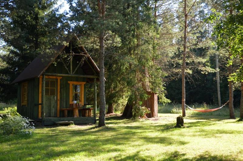 Saia Forest House - Bed and Breakfast