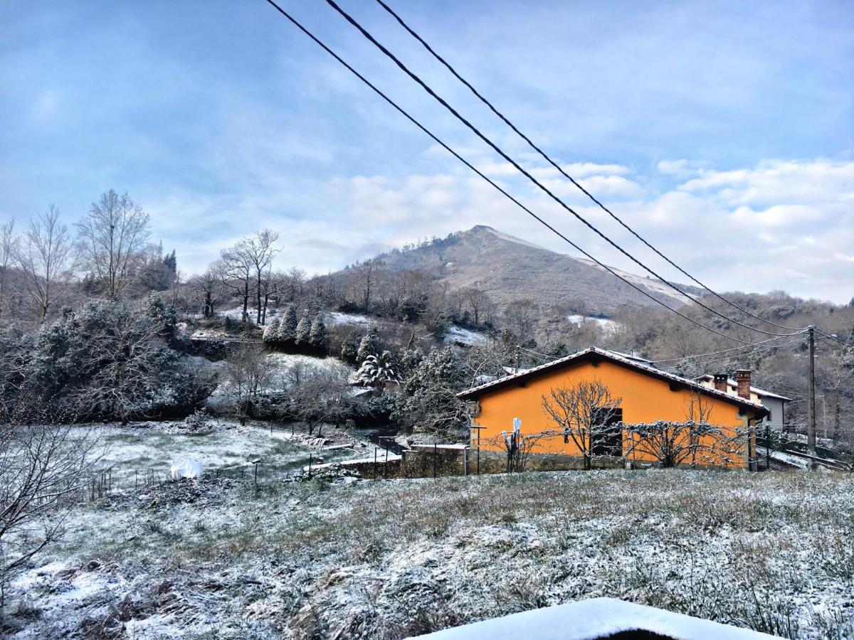 La Galayca - Ferienwohnung El Barcenal