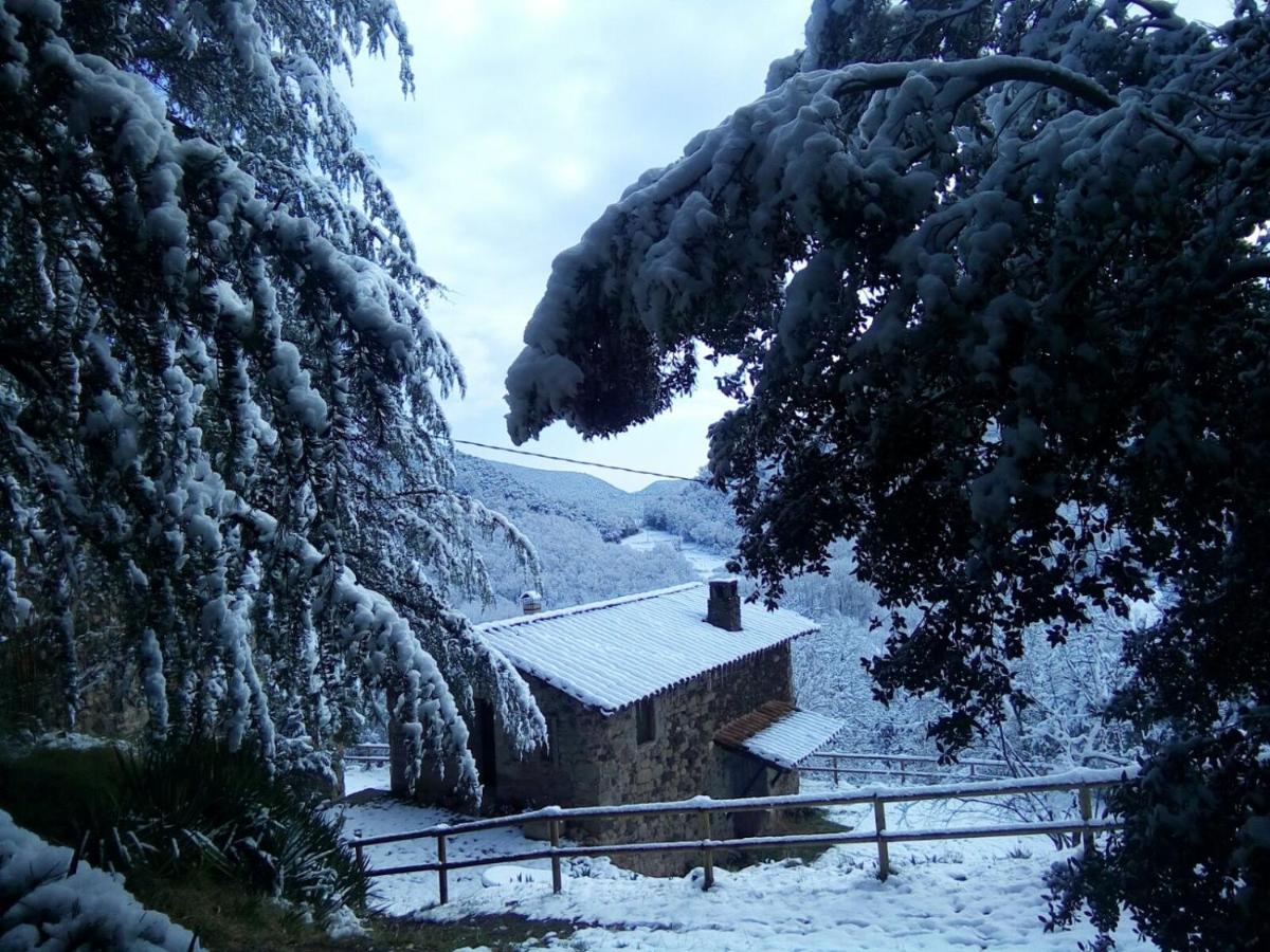 Mas Pardas - B&B Santa Pau