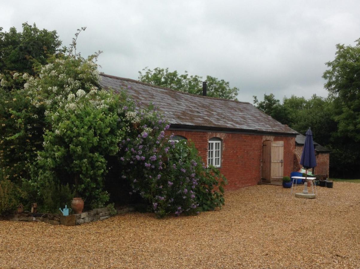 The Barn, Ridouts Farm - B&B Hazelbury Bryan