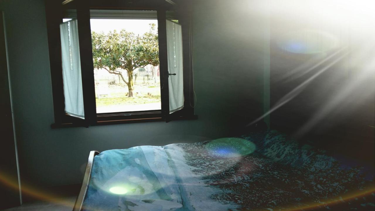 Apartamento - Planta baja