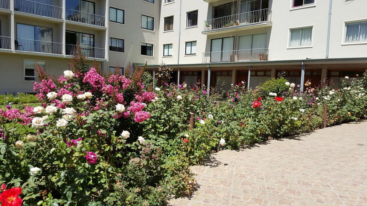 Brisas en Viña - B&B Viña del Mar