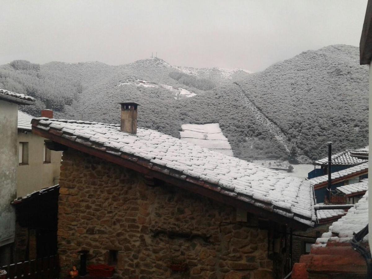 Holiday Home with private garden 