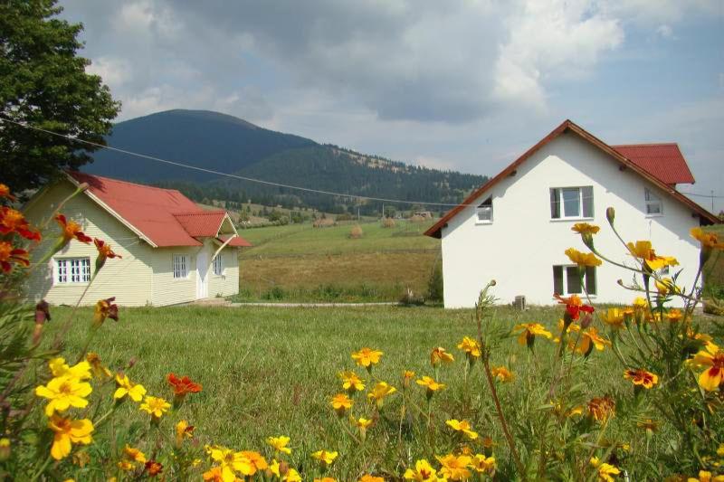 B&B Dealu Floreni - Casa Ana Vatra Dornei - Bed and Breakfast Dealu Floreni