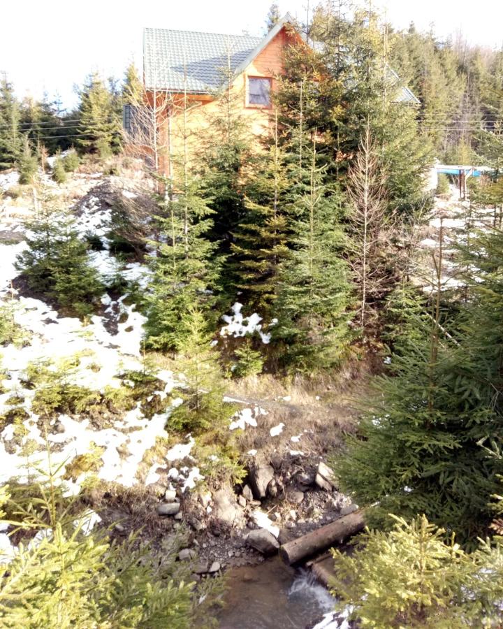 WoodDream - B&B Volovets