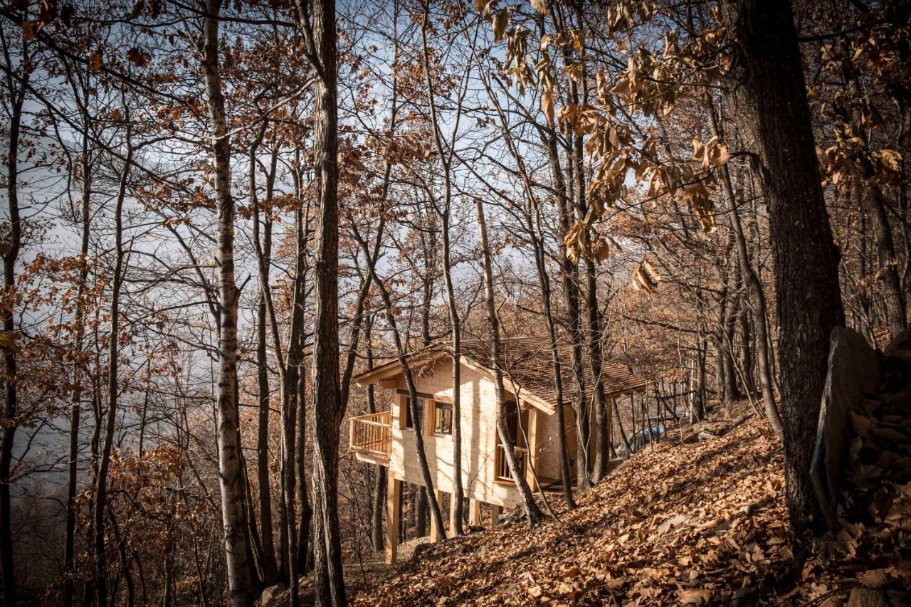 Il Nido del Casalot - B&B Frassino