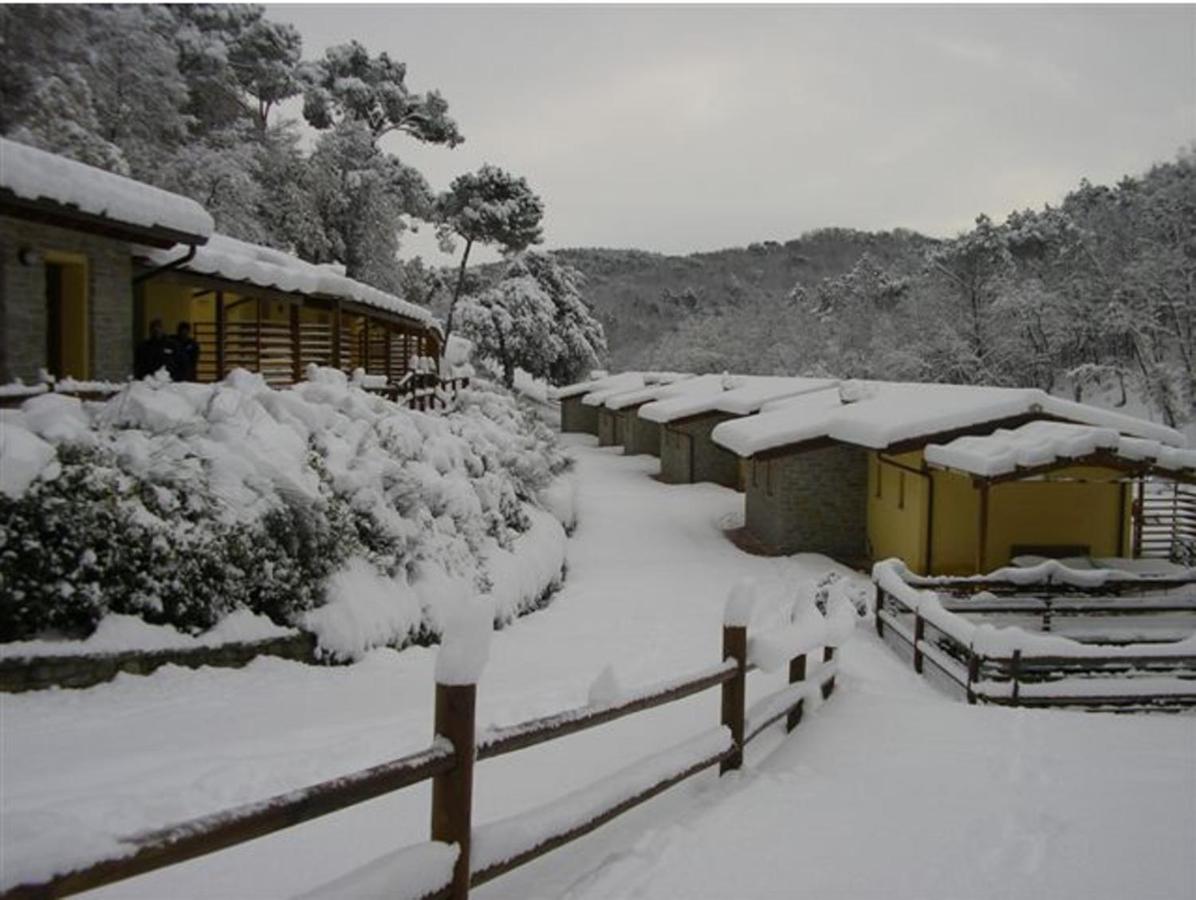 Lebbiano Residence - Bed and Breakfast Scandicci