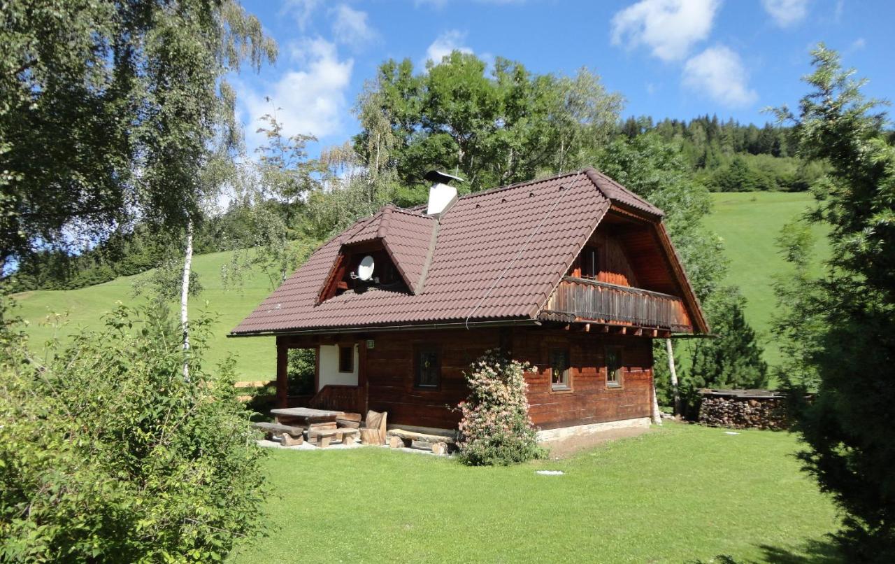 Die Petzl Hütte - Kreischbergblick - Ferienwohnung