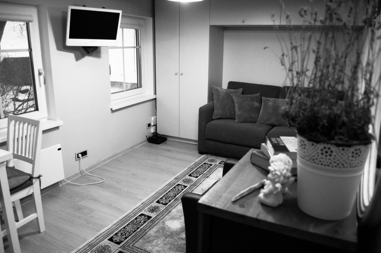 Skruzdynės Apartamentai - B&B