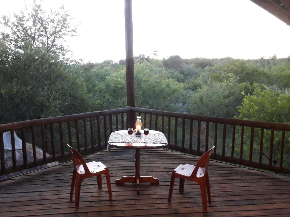 Little Bush Baby - B&B Marloth Park