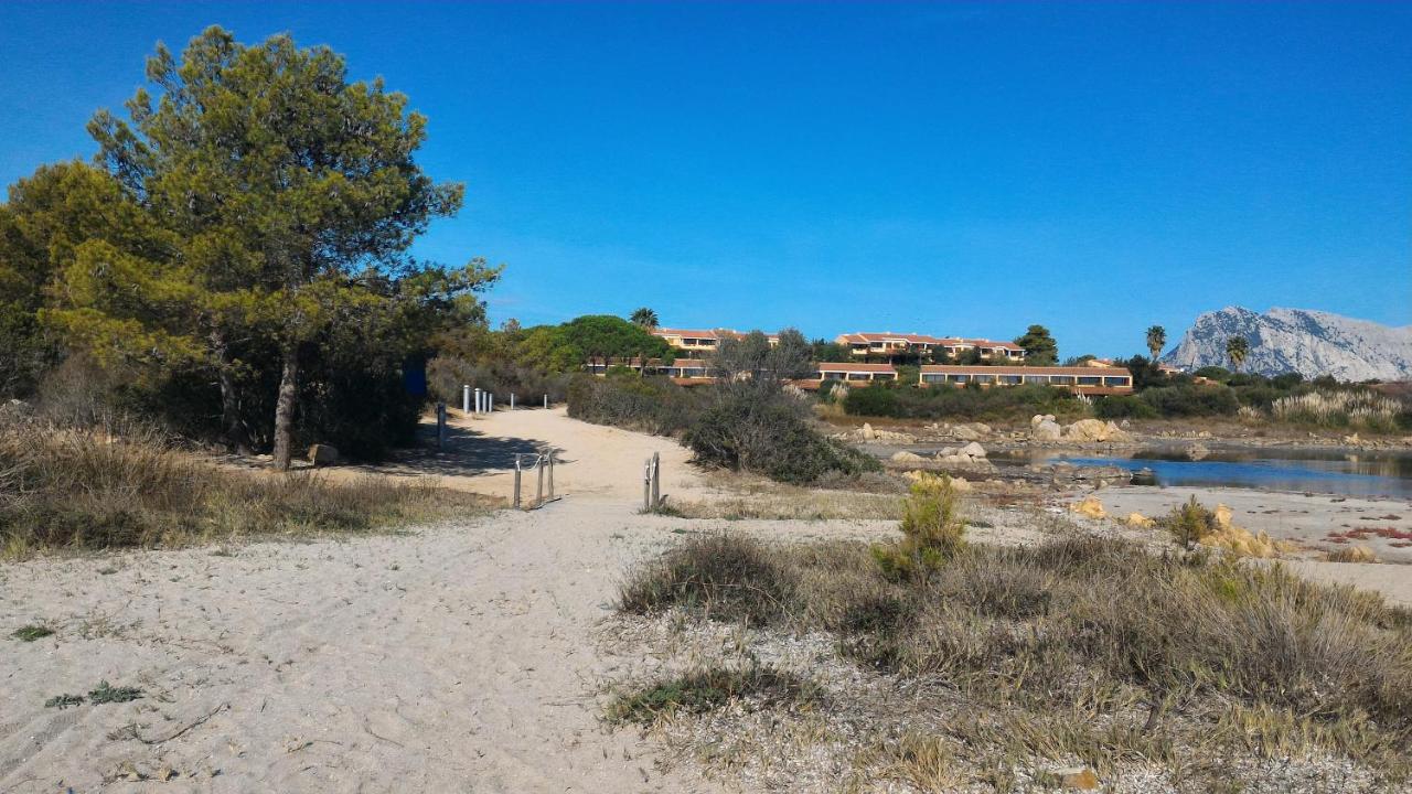 Residenze Coda Cavallo - B&B