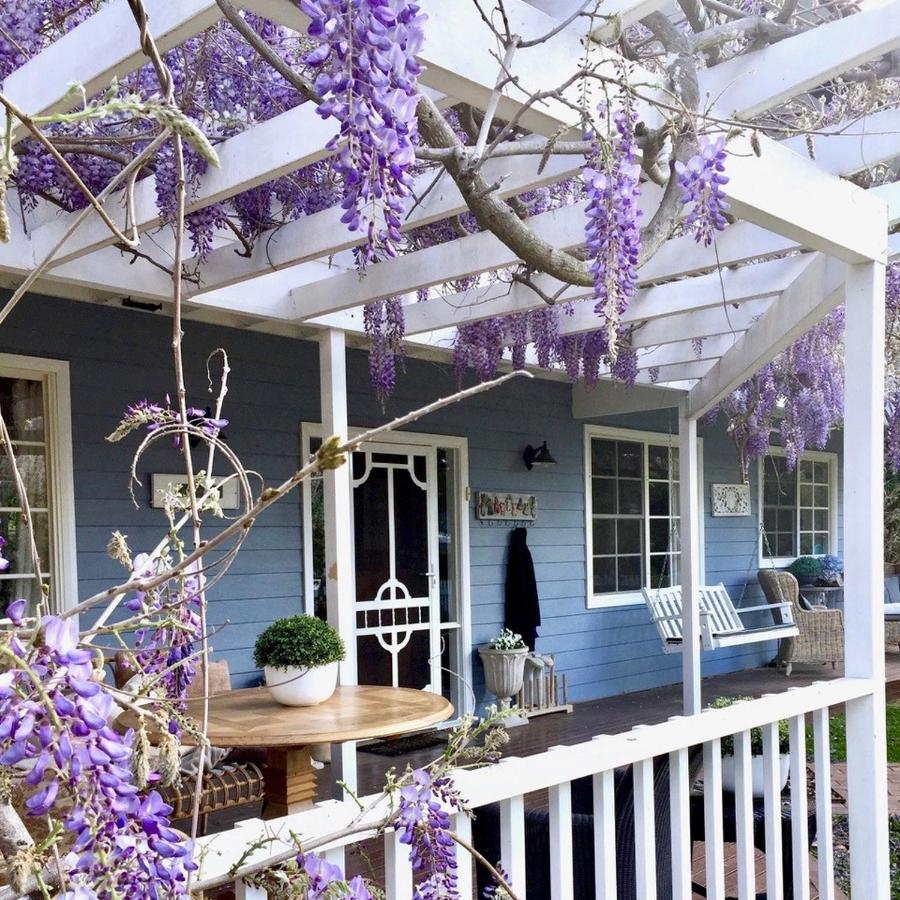 Bowral Escape - B&B