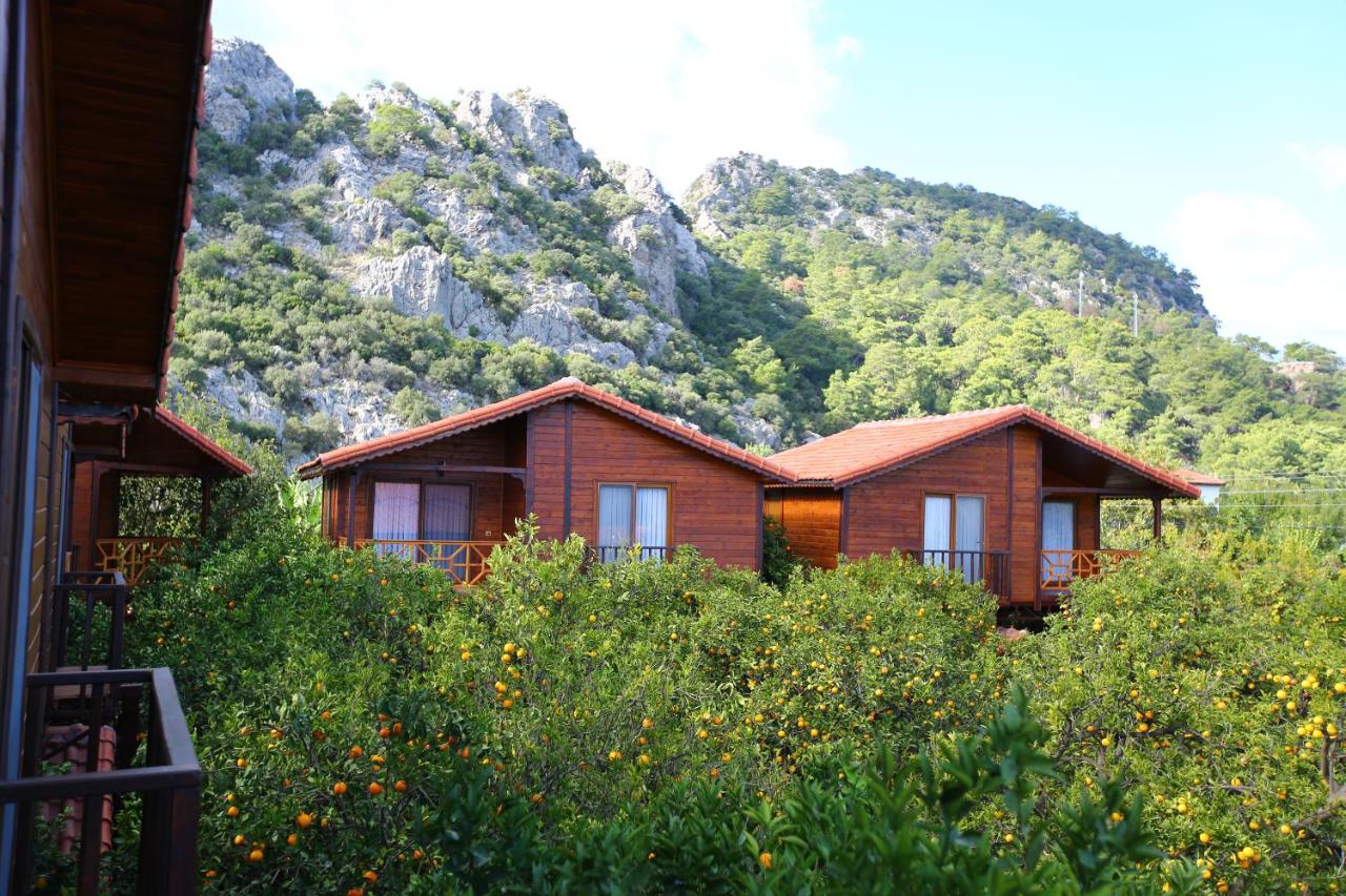 Bahçe Villa - B&B