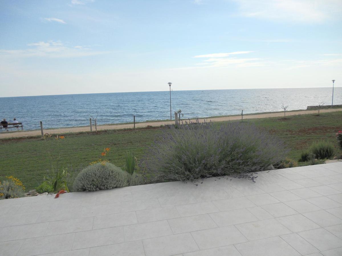 Studio avec Terrasse et Vue sur la Mer