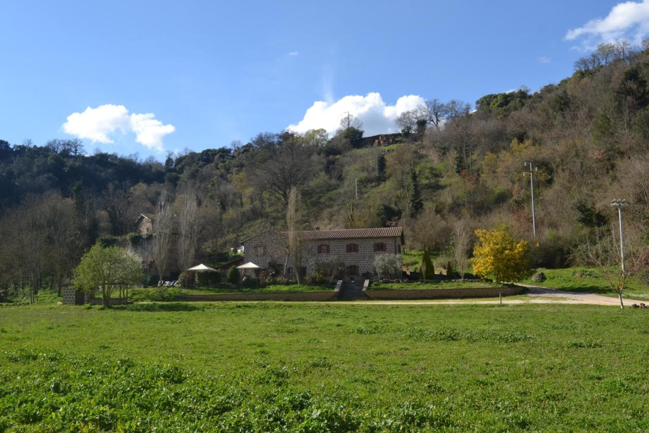 Agriturismo Le Forre del Treja - Ferienwohnung