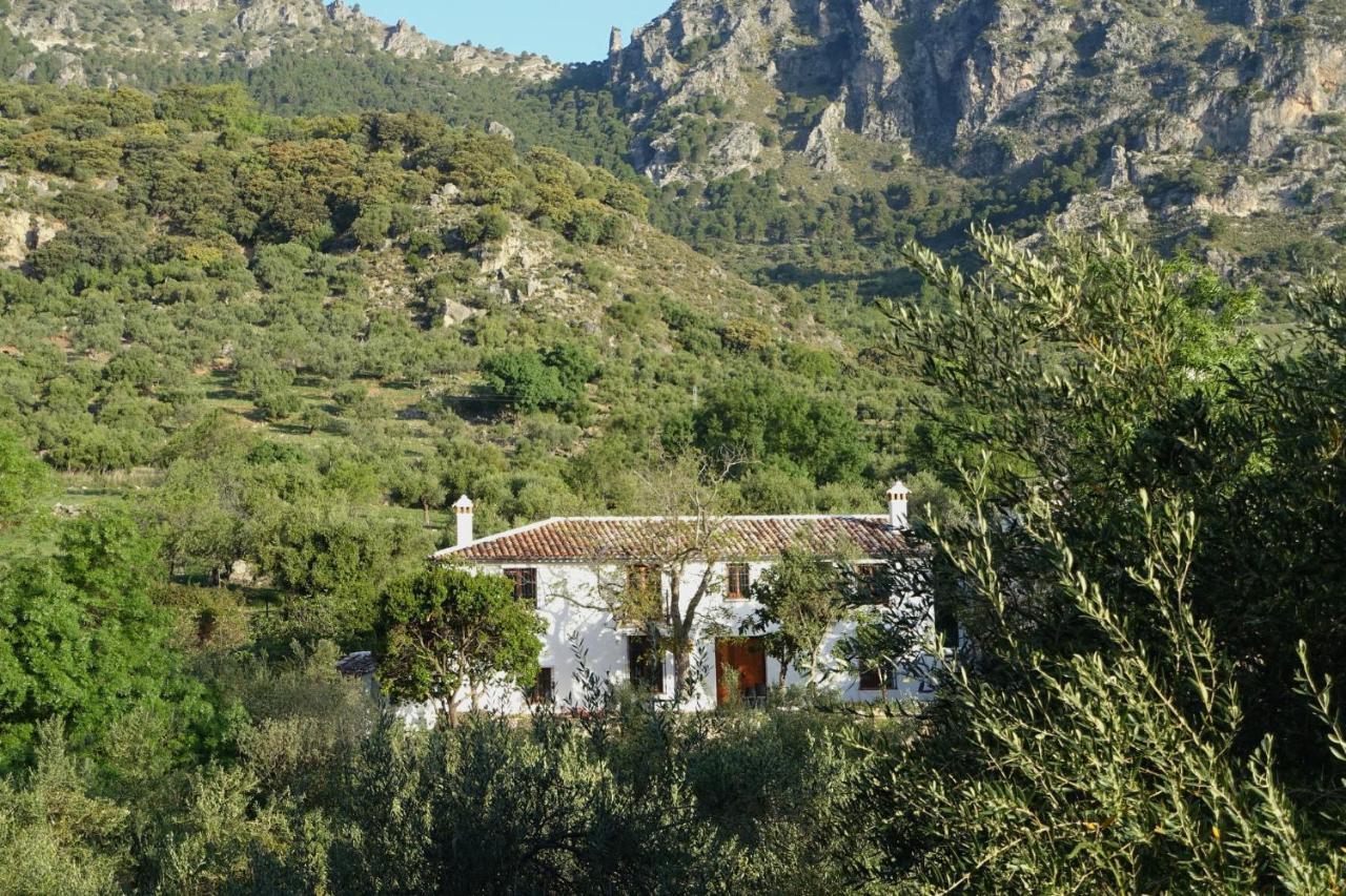 B&B Grazalema - Betania - Bed and Breakfast Grazalema