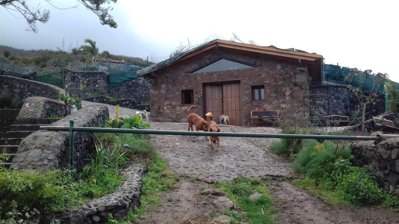 Finca rural House Tenerife Relax And Enjoy - Chambres d’hôtes Santa Úrsula