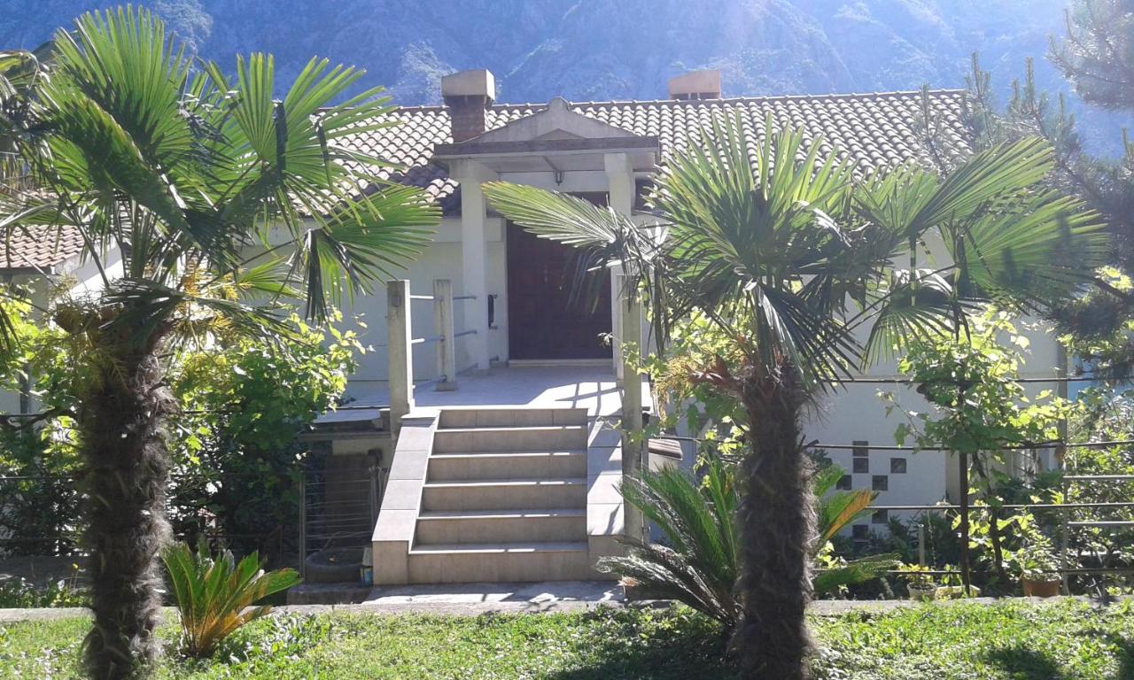 Apartment Sasha - Bed and Breakfast