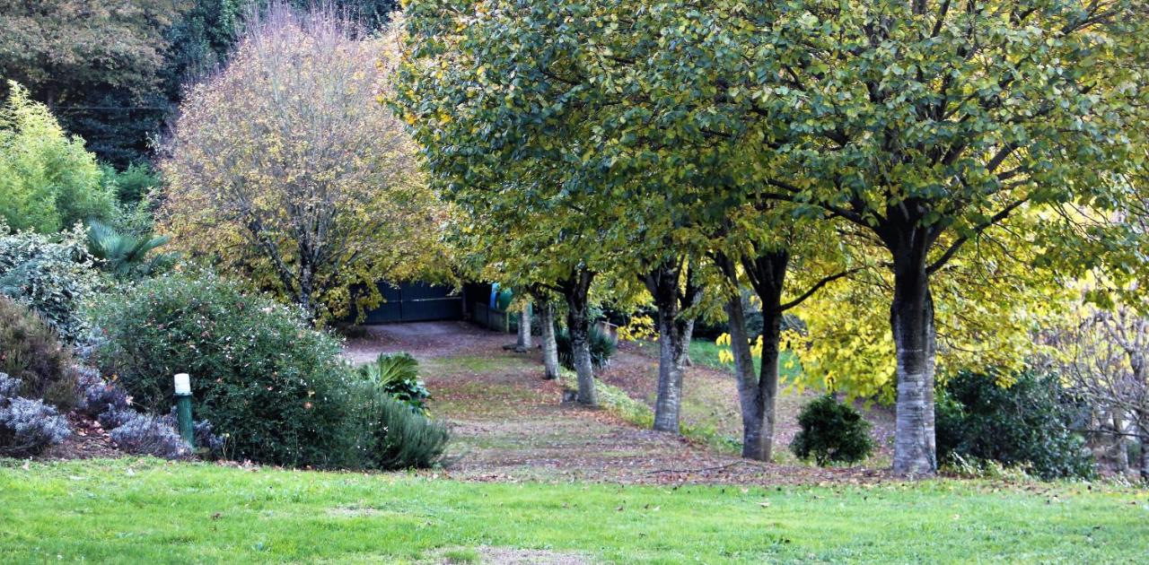 Casa San Ginés - B&B Cruces