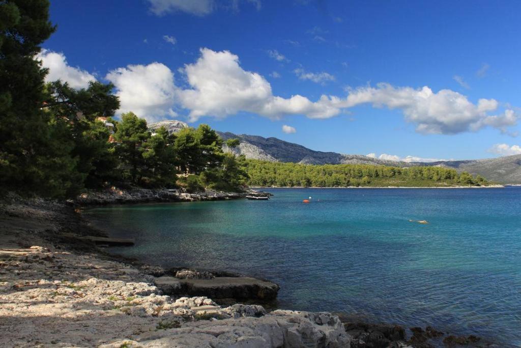 Sea View Apartments - B&B Lumbarda