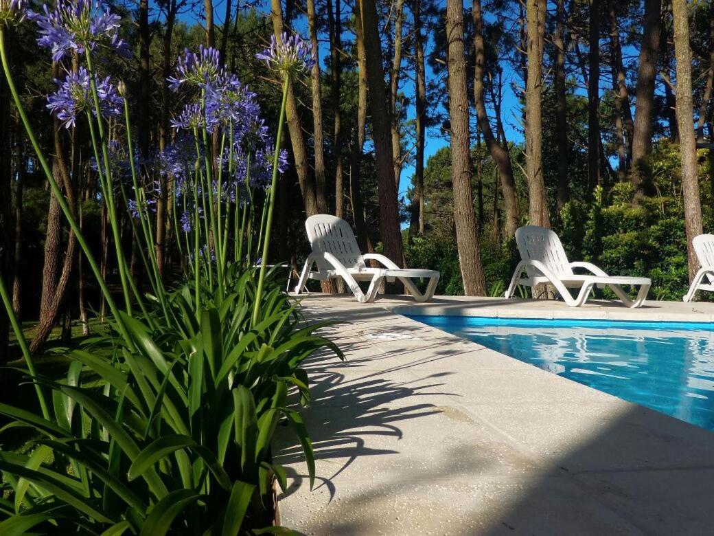 Appartamento con Balcone