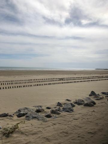 Le Grand Large de Marie et Jean - B&B Gruissan