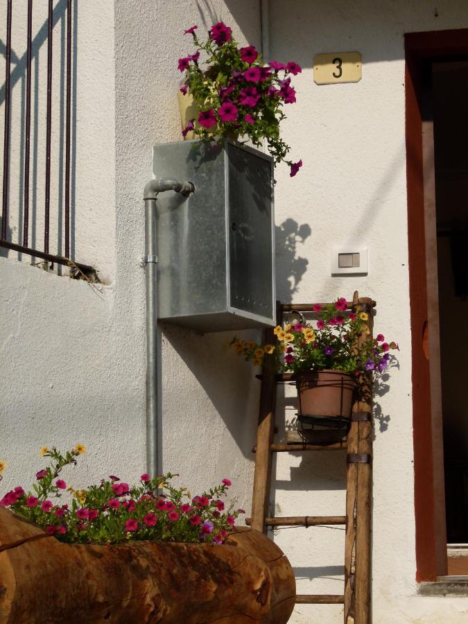 La Canàoula - B&B