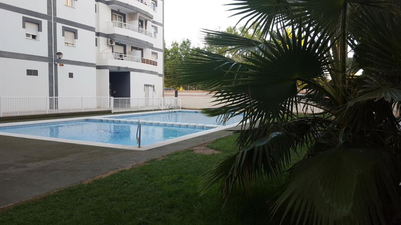 B&B San Vicent del Raspeig - appartement avec piscine - Bed and Breakfast San Vicent del Raspeig