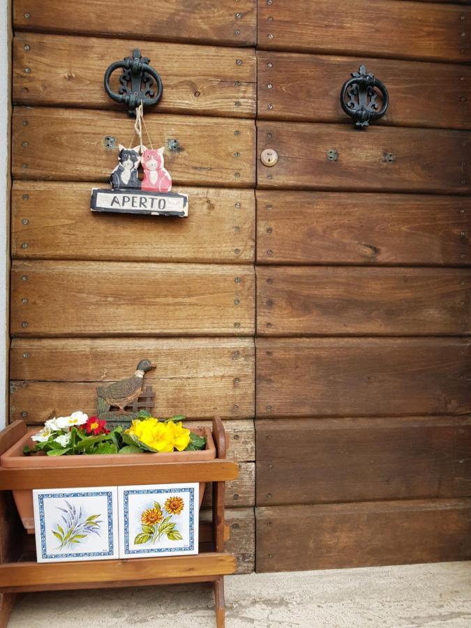 Monte degli Elci b&b - B&B Toffia