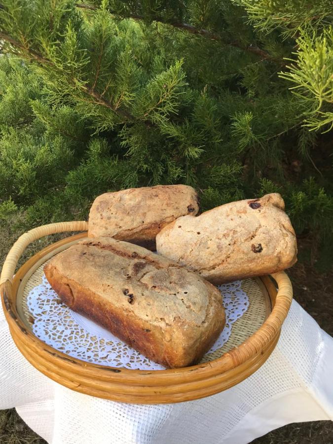 Farmstay Marianówka u Tesi - Bed and Breakfast