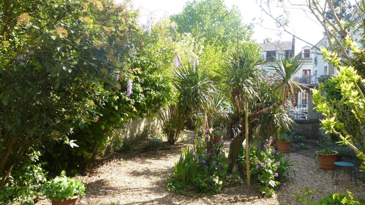 La Petite Vigne - B&B Amboise