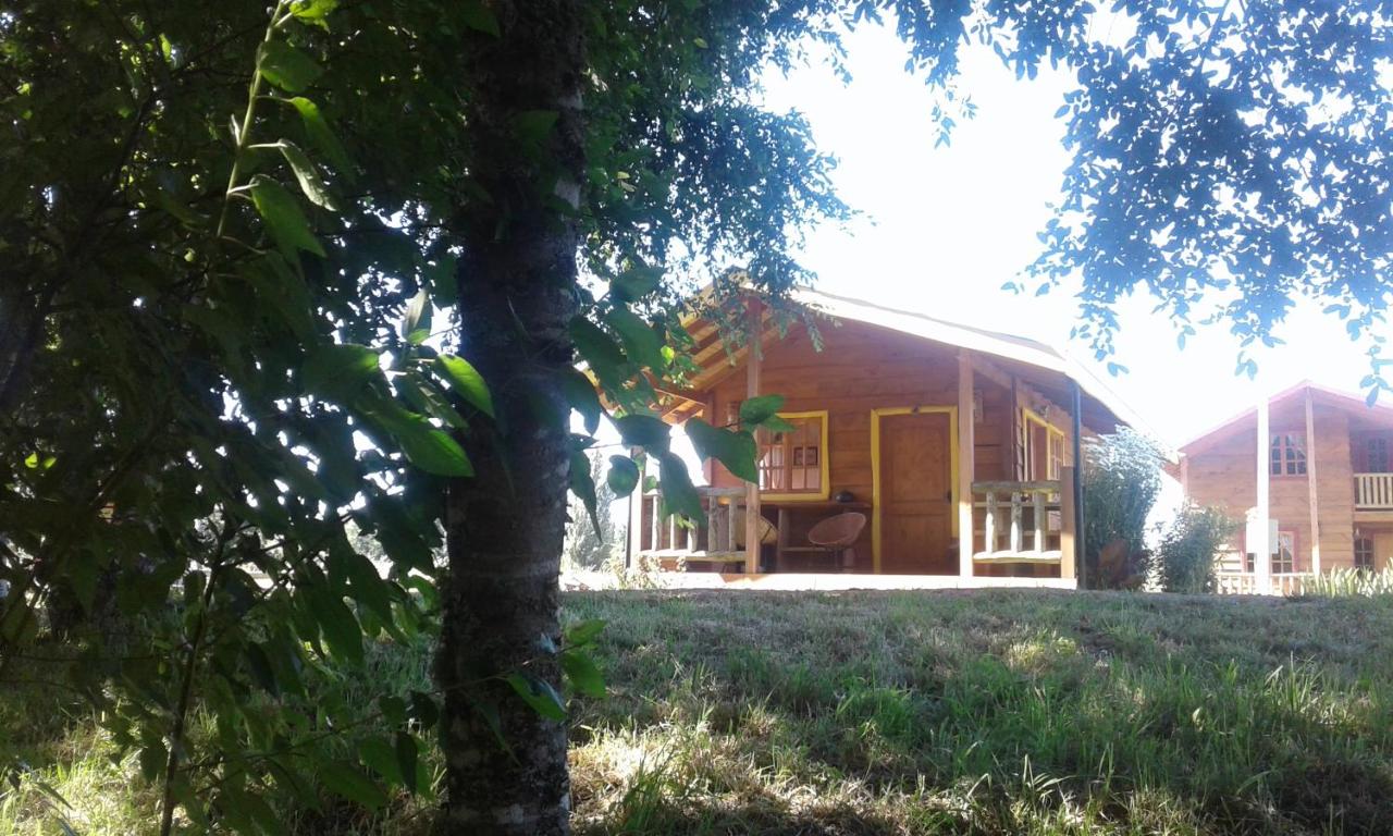 Apartment mit Terrasse